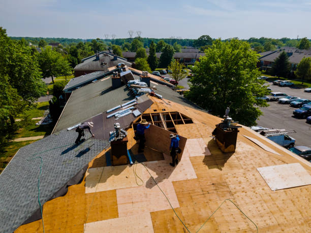 Trusted Flat Roof Repair service in Mc Alpin, FL - Brentwood Metal Roofing